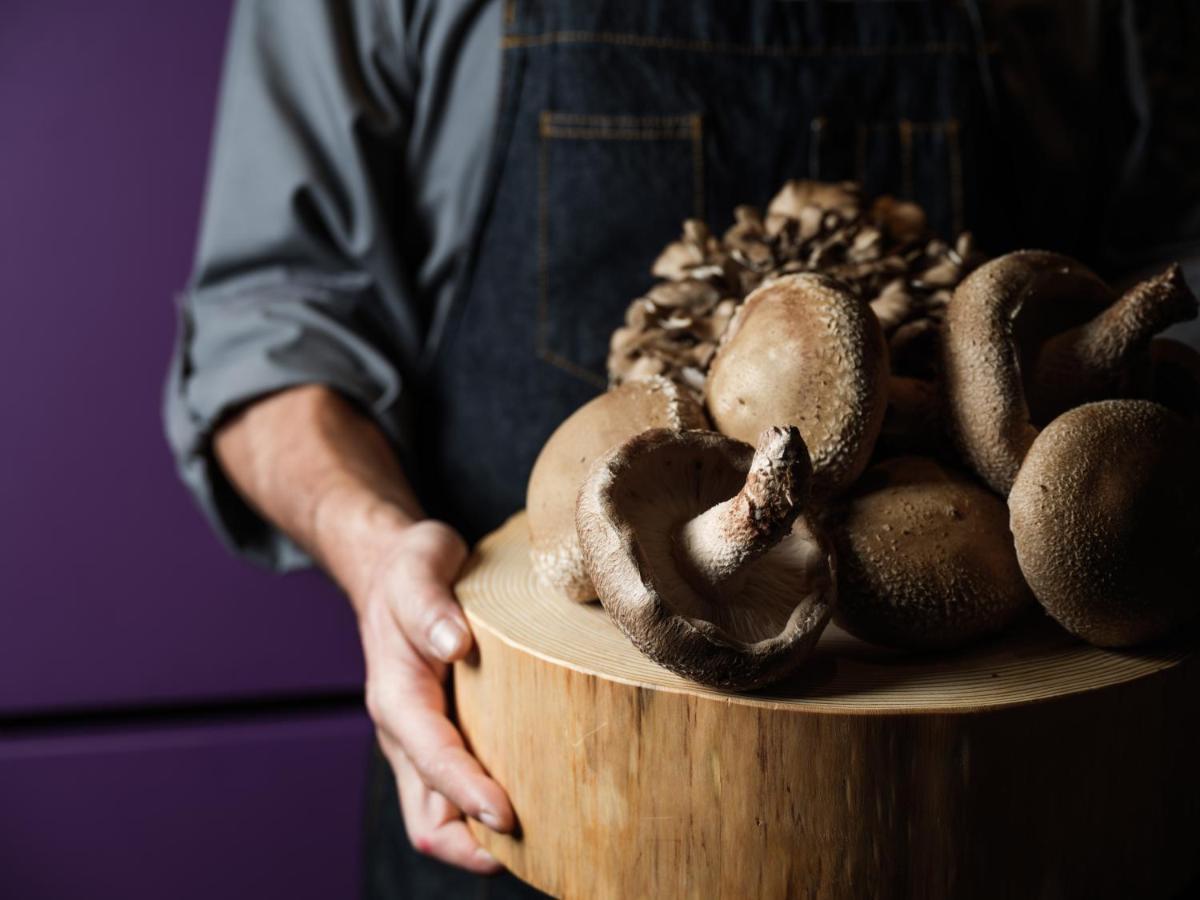 Hyatt Centric Канандзава Экстерьер фото Shiitake mushrooms